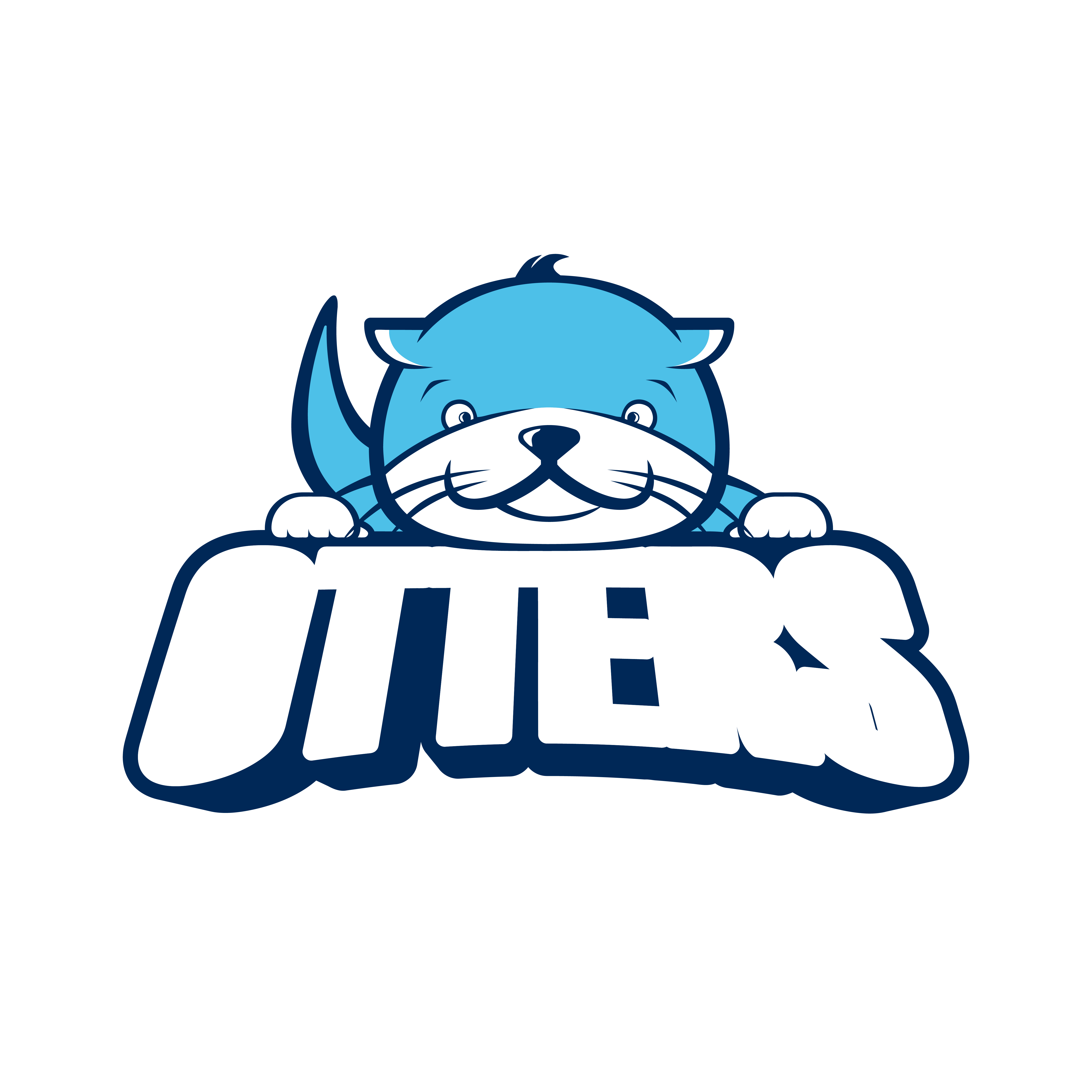 Team Logo